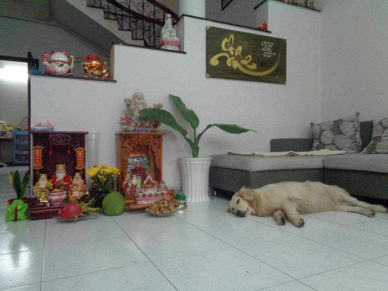 Ms Yang Homestay 2 - Home Cook Ho Chi Minh-byen Eksteriør bilde